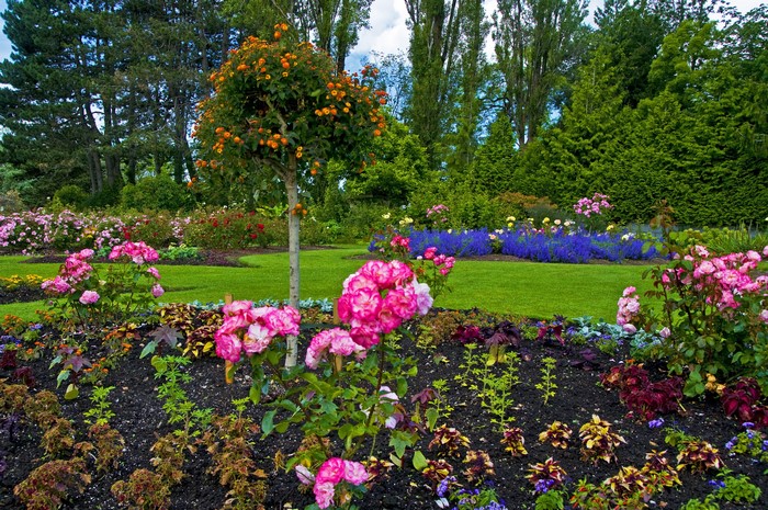 #860818 Queen Elizabeth Garden, Canada, Gardens, Roses, Vancouver ...