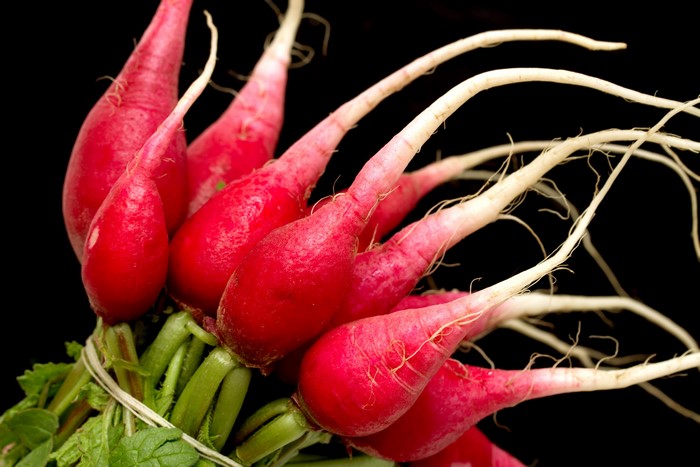 4K Closeup of Radishes on Black Background