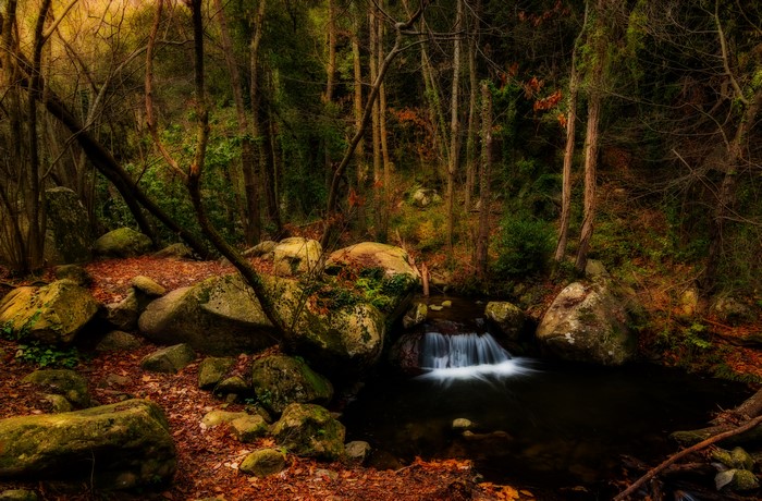 Forest waterfall with rocks and autumn leaves in Catalonia, Spain