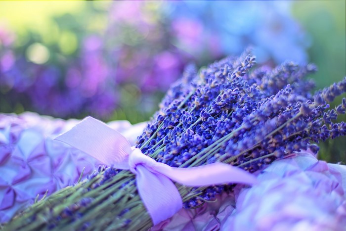 Bouquet of Lavender with Purple Ribbon
