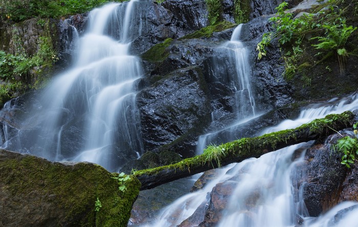 4K Waterfalls and Mossy Logs in Sequoia National Park