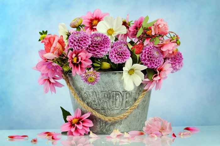 Bouquet of Dahlias and Roses in a Garden Bucket