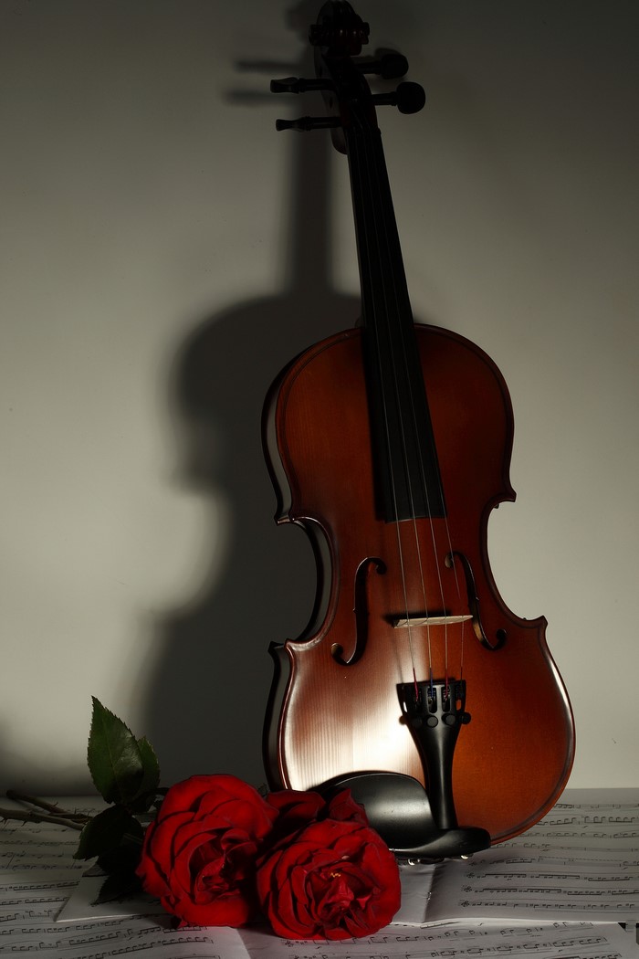 Violin with red roses on sheet music