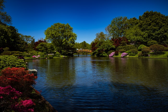 Missouri Botanical Garden with Bridge and Lake