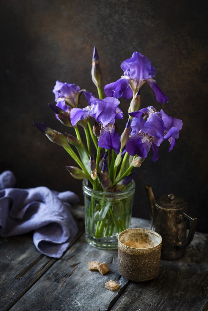 Purple irises in a glass vase with coffee and sugar cubes