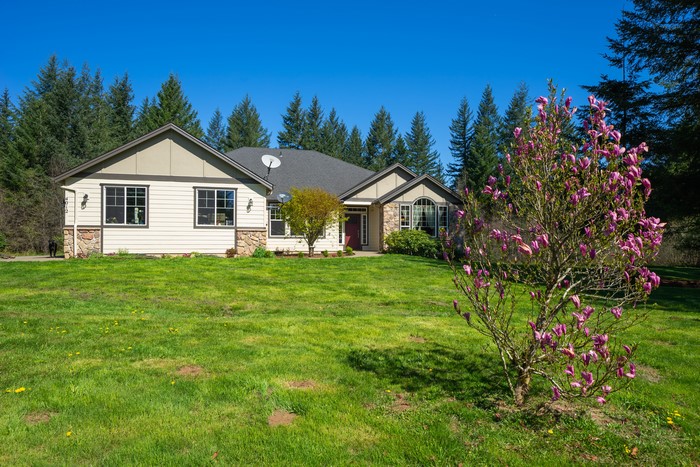 House with flowering tree and pine forest
