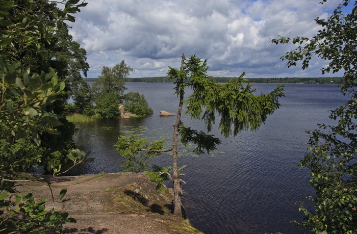 Park Monrepos Vyborg, Russia, Coast, Rivers, Spruce