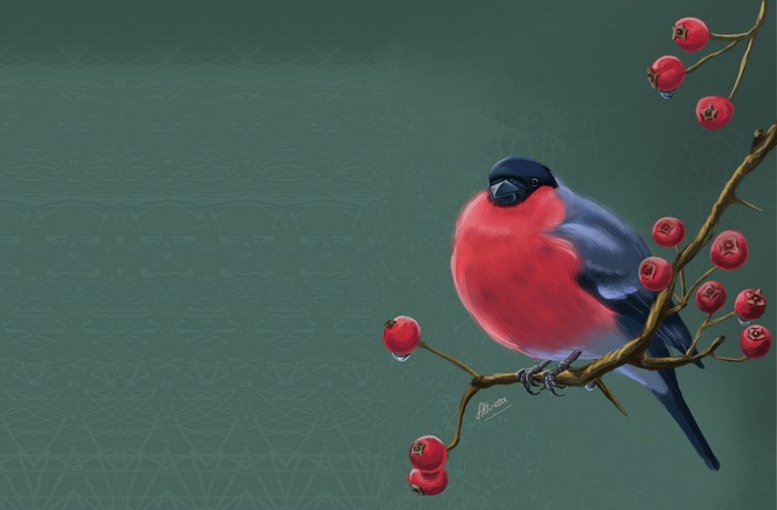 Bullfinch on a branch with berries by Svetlana Antonova