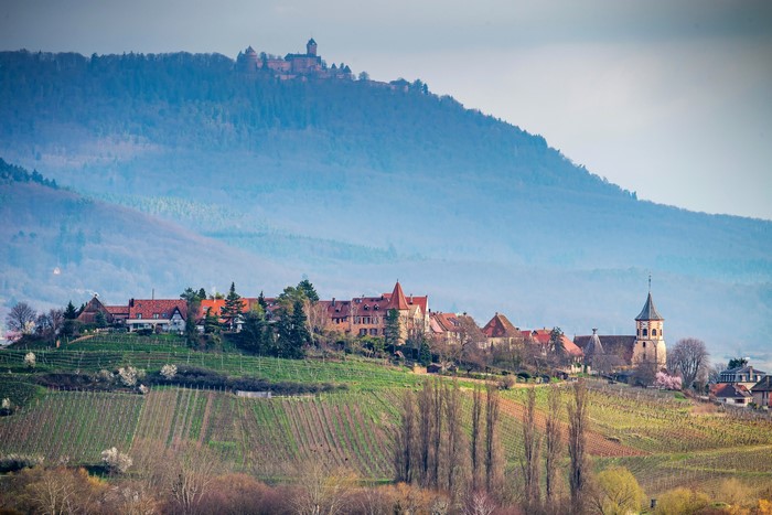 4K Zellenberg France Houses Fields
