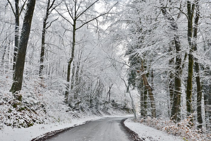 A winding road through a snow-covered forest in winter