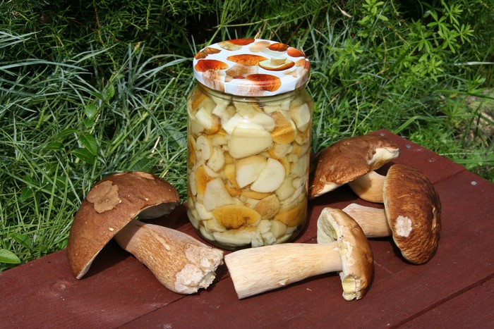 Jar of pickled mushrooms with fresh mushrooms