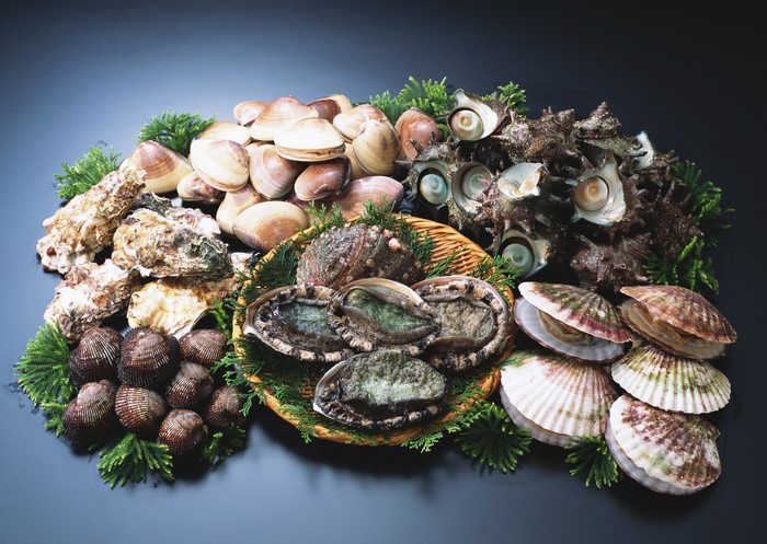Assortment of fresh seafood including oysters, clams, abalone, and scallops