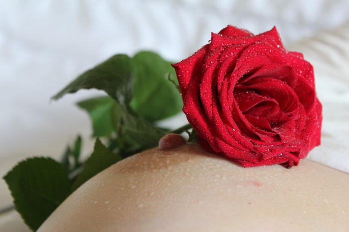 Closeup 4K Red Rose with Water Drops