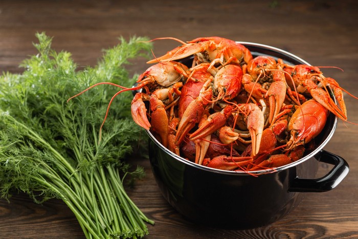 Cooked Crayfish in a Pot with Dill