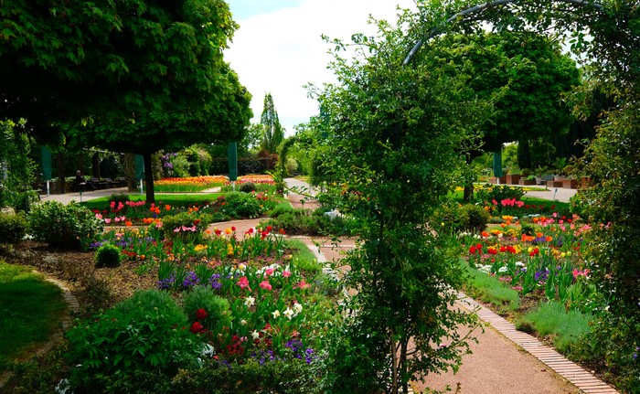 Botanischer Garten Solingen, Germany with tulips and shrubs