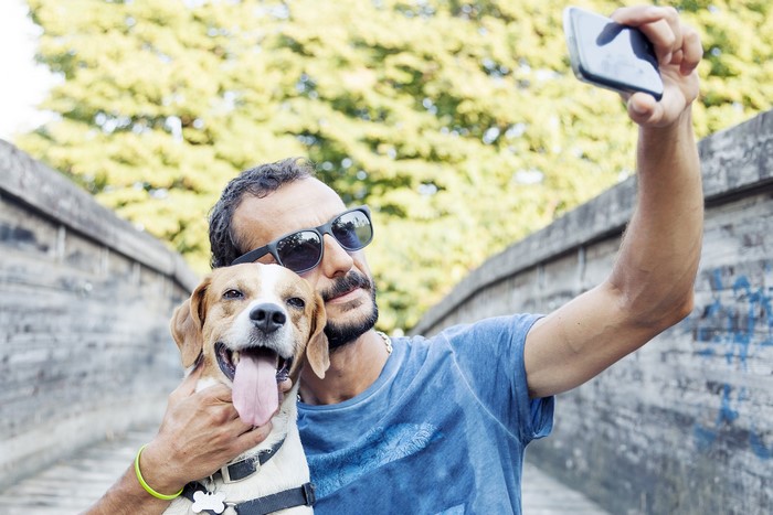 Man and Beagle Dog Taking a Selfie