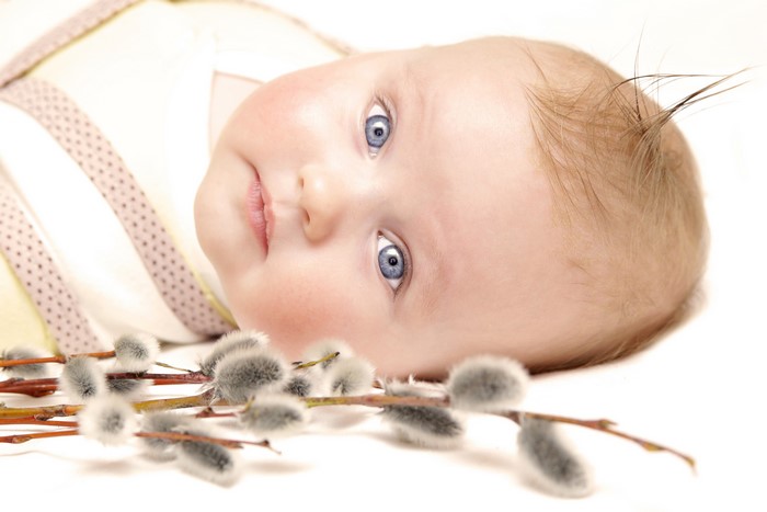 Baby with blue eyes and pussy willows