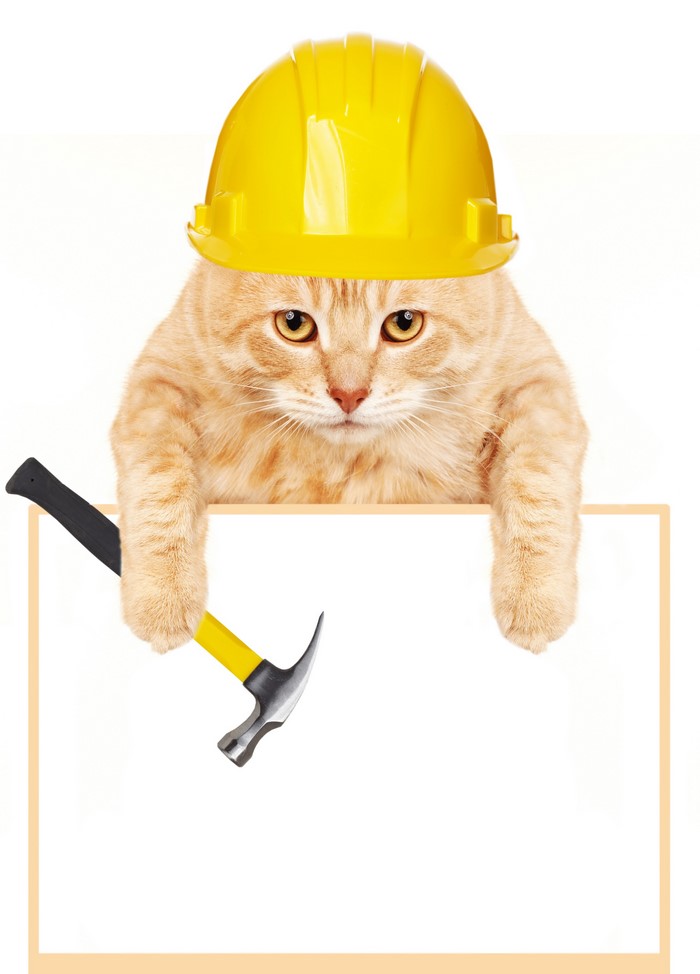 Ginger cat wearing a yellow hard hat holding a hammer