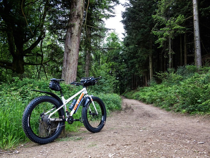 Fat tire bicycle on a forest trail