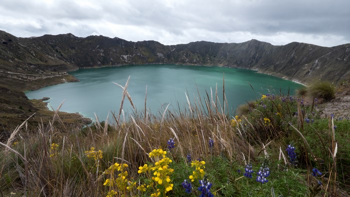 Quilotoa Lake in Ecuador with Grass and Flowers