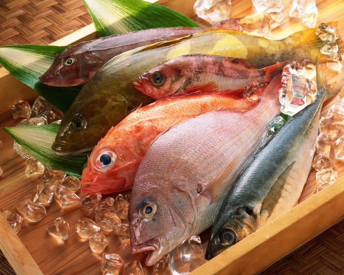 Assortment of fresh fish on ice in a wooden tray