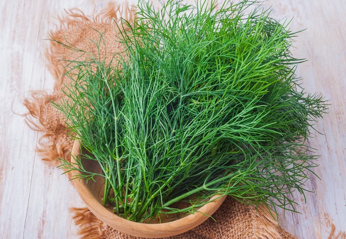 Dill in a Bowl