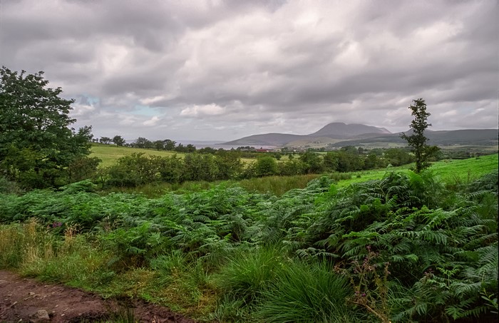 Green fields and hills under a cloudy sky in Scotland