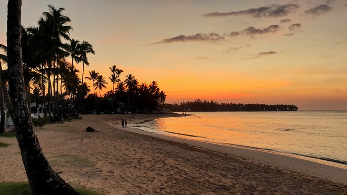 Sunset over Las Terrenas beach with palm trees, Dominican Republic