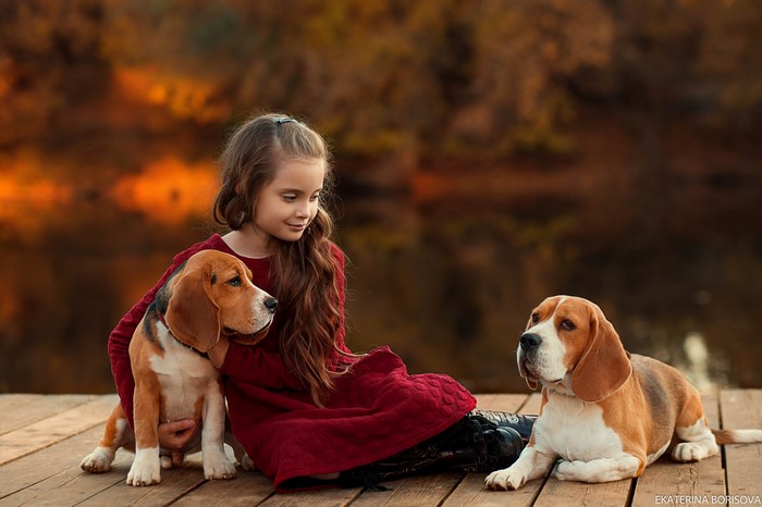 Girl with two beagles on a wooden dock
