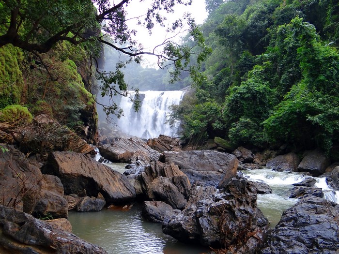 Sathodi Waterfall with rocks and trees