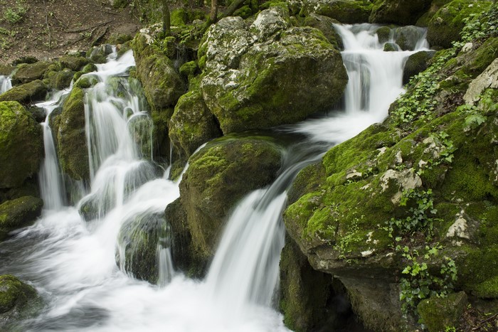 Mossy rocks with cascading waterfalls in a forest