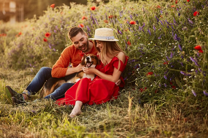 Couple with dog in a field of flowers
