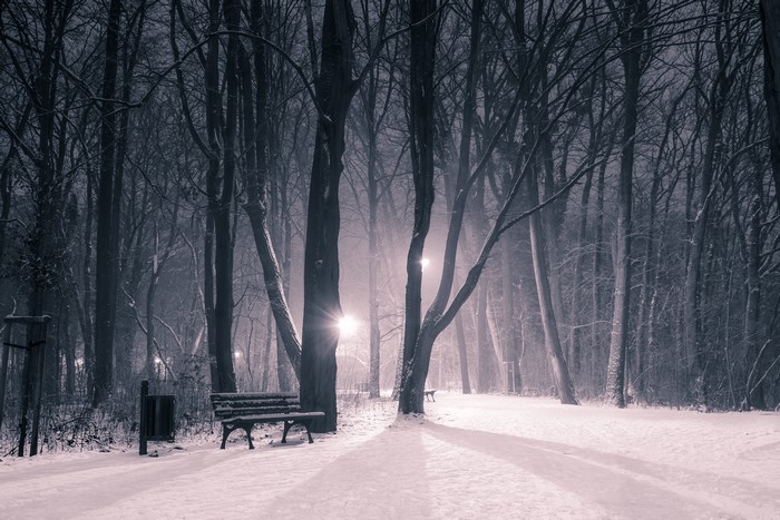 Winter Park at Night with Snow and Lights