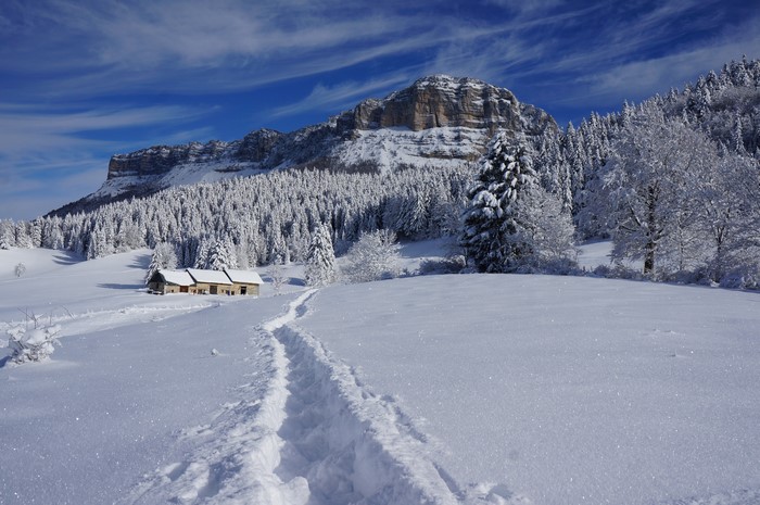 Winter mountain landscape with snow-covered forest and house