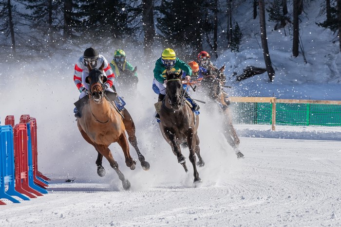 International White Turf Horse Racing in Snow