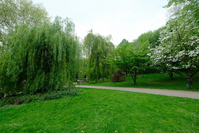Botanischer Garten Solingen, Germany Park with Trees and Lawn