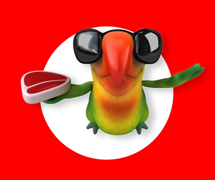 Parrot with sunglasses holding a steak
