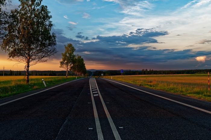 Road through fields at sunset with trees