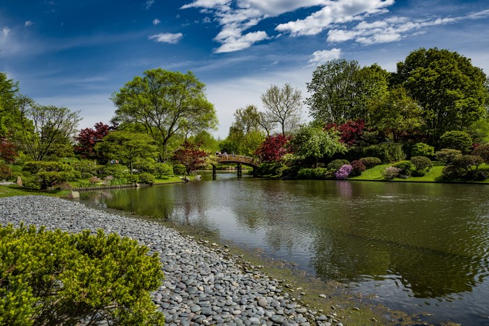Missouri Botanical Garden Pond with Bridge and Trees