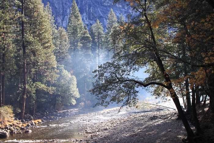 Yosemite National Park in Autumn with River and Fog