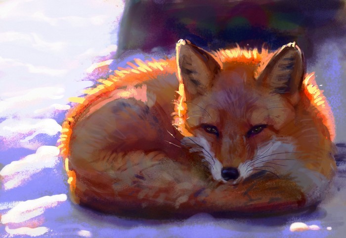 Fox resting in snow, digital painting