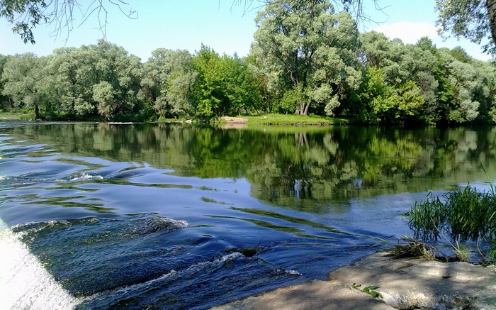 River flowing through a forest with reflections