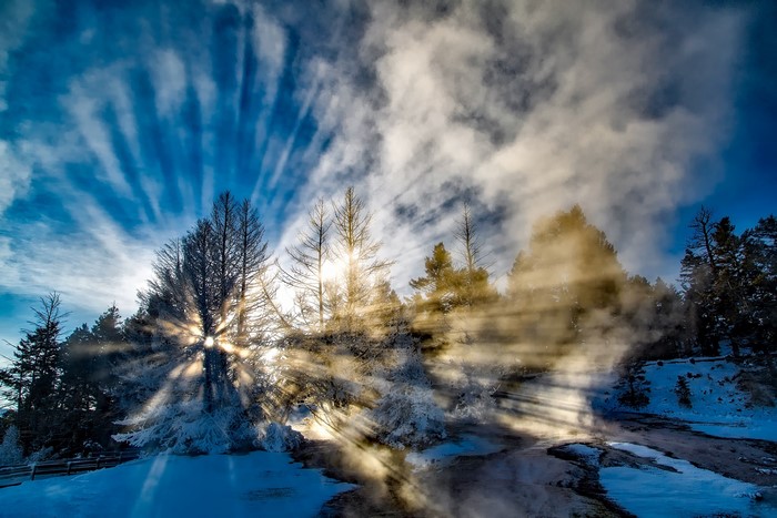 Sunbeams through trees in Yellowstone National Park in winter