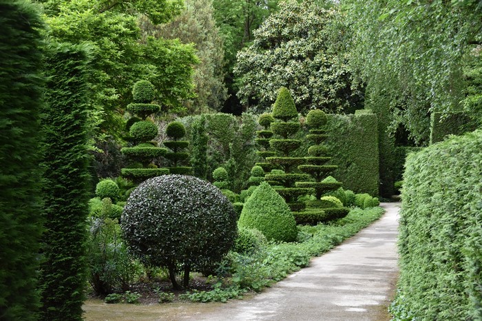 Topiary garden with a winding path