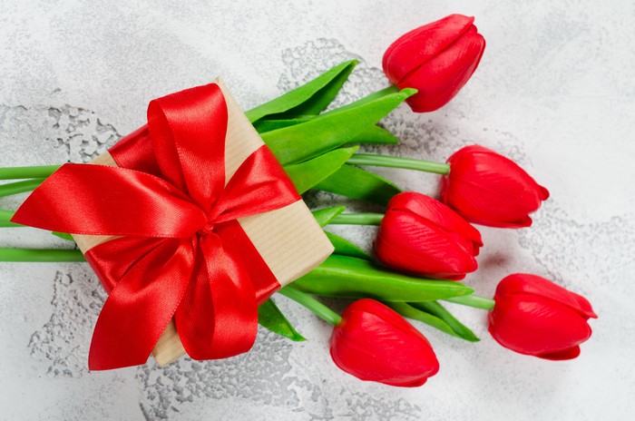 Red Tulips and Gift Box with Red Bow