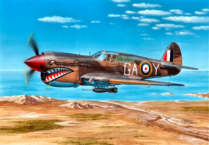 1942 P-40E Kittyhawk "Shark" Squadron in North Africa