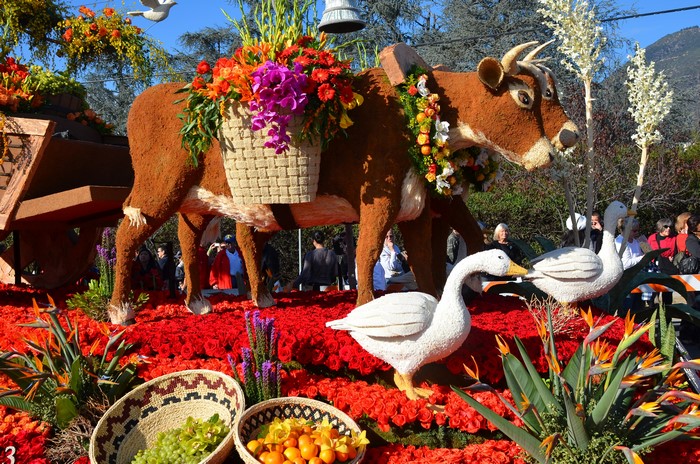 4K Rose Parade Pasadena Cow Float with Geese