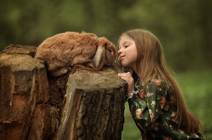 Girl with a rabbit on a tree stump