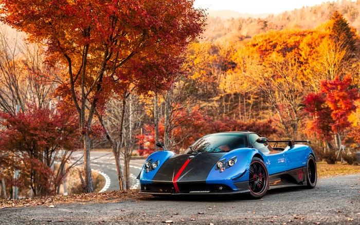 Pagani Zonda Cinque Roadster in Autumn