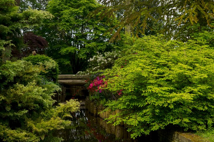 Canal and bridge surrounded by lush trees and shrubs